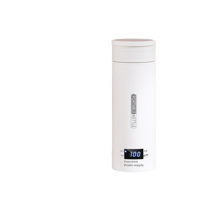 Portable Kettle (Boils Water)