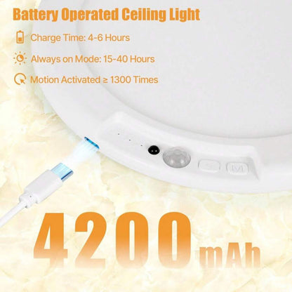 Remote-Controlled Sensor LED Ceiling Light